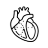 Structural Heart Disease