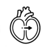 Ventricular Septal Defect (VSD)